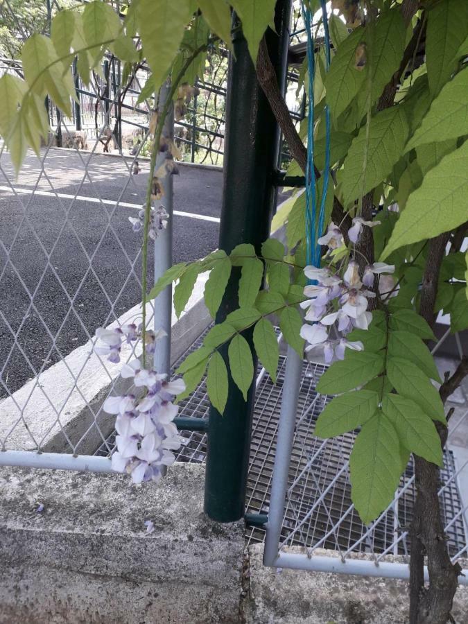 Apartman Patrik Slunj Εξωτερικό φωτογραφία